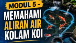 MODUL 5 – MEMAHAMI ALIRAN AIR