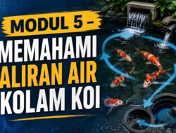 MODUL 5 – MEMAHAMI ALIRAN AIR