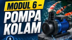 MODUL 6 – POMPA KOLAM