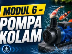 MODUL 6 – POMPA KOLAM