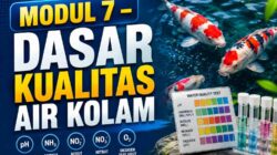 MODUL 7 – DASAR KUALITAS AIR