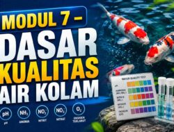 MODUL 7 – DASAR KUALITAS AIR