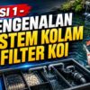 Hubungan Ikan Koi, Air, Filter, Pompa, dan Oksigen
