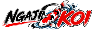 Ngaji Koi