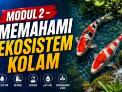 MODUL 2 – MEMAHAMI EKOSISTEM KOLAM
