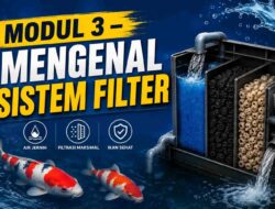 MODUL 3 – MENGENAL SISTEM FILTER