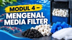 MODUL 4 – MENGENAL MEDIA FILTER