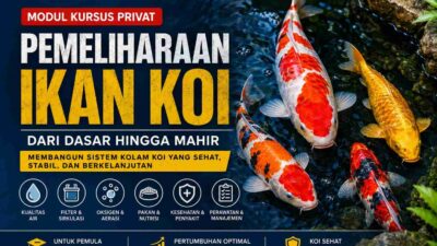 MODUL KURSUS PEMELIHARAAN IKAN KOI 2