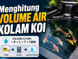 Cara Menghitung Volume Air Kolam Koi